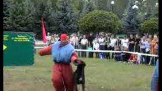 Рабочие кане корсо