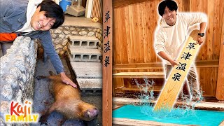 This Japanese Hot Spring Has MONKEYS & More!