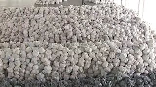 Гуманитарный рейс Рината Ахметова продолжает курсировать в Донбасс
