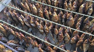 Коптильня Холодного Копчения Как Закоптить Рыбу(Карась Плотва Чебак)