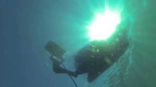 Bruce 27.4 mono testride with leaderfins carbon mono