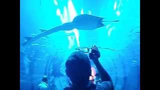 DUBAI MALL "BOΛΤΑ ΜΕΣΑ ΑΠΟ ΕΝΥΔΡΕΙΟ" (MAUROUDIS HARIS)