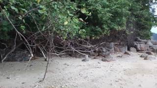 Thailand Phuket _ Nudist beach