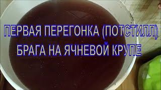 ПЕРВАЯ ПЕРЕГОНКА (ПОТСТИЛЛ)  БРАГА  НА ЯЧНЕВОЙ КРУПЕ С ПРИМЕНЕНИЕМ  КОДЗИ АНГЕЛ