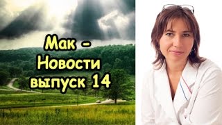 Макновости 14. Толстый член. Возбудимый девственник. Безответная любовь.