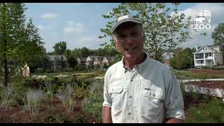 Reds Community Fund Rockdale Academy - Cincinnati Zoo