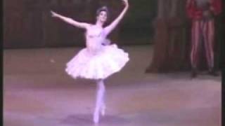 Anastasia Kolegova - Liliac Fairy Variation