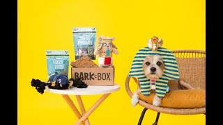 ? КОМБИНЕЗОН для СОБАКИ с ЮБКОЙ ? спицами ? Crochet Sweater ? СВОИМИ РУКАМИ ? for CHIHUAHUA PUSIA ?