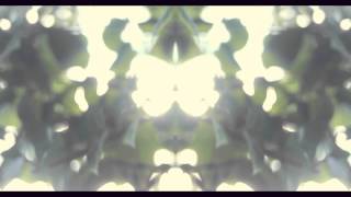 The Waves (Mmoths Remix) - Villagers