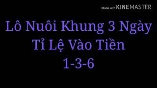 Lô nuôi khung 3 ngày 100% nổ Dành cho ae thích đánh lô nuôi