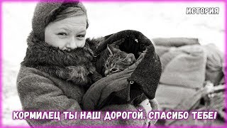 Если бы не кот Васька, не пережить нам блокаду Ленинграда
