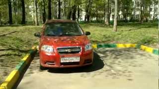 Epic Parking Fail / Птица счастья выбрала его...
