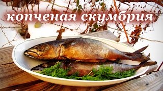 Рецепт копчения скумбрии. Приготовление в коптильне горячего копчения