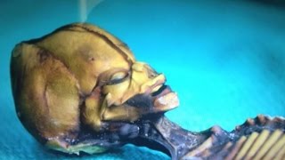 Уникальная находка. Кыштымский карлик. Тайны и загадки планеты