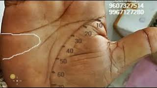 AKSHO The Palmist L594: निर्णय प्रक्रिया को फ़ास्ट करना देगा लाभ।