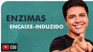 ENZIMAS: ENCAIXE-INDUZIDO VS CHAVE-FECHADURA - Kennedy Ramos