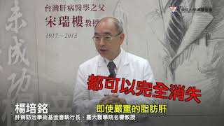 楊培銘教授引國際研究：體重減1成可消滅脂肪肝