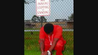 LIL PHAT - JUVENILE GOIN WILD