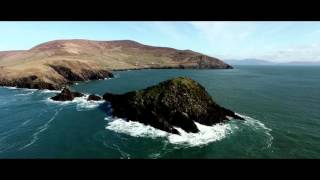 Dingle