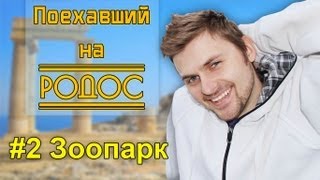Поехавший на Родос. #2 Зоопарк