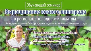 Семинар по выращиванию винограда.