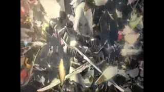 Lineage 2 ..amv