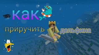 Как приручить дельфина в Minecraft pe 1.5
