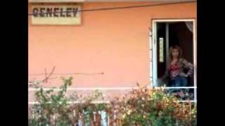 genelev