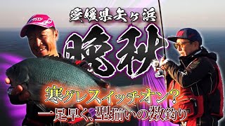 寒グレスイッチオン？一足早く、型揃いの数釣り～愛媛県矢ヶ浜 [前編]
