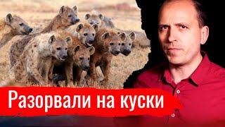 Разорвали на куски // Письма