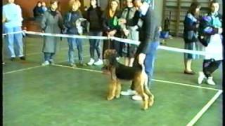 intermedia bitches 1994-1