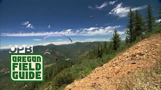 Paragliding in Oregon