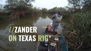 Zander on Texas Rig
