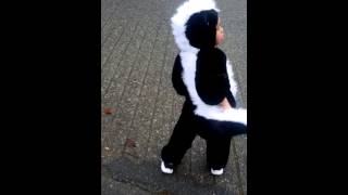 Skunk