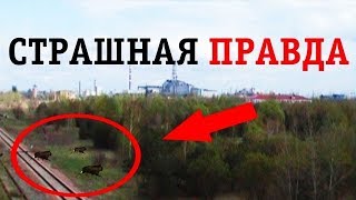 Гриф Секретно СНЯТ - Рассекреченные архивы! От нашего взора спрятаны истины, которые науке не понять