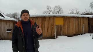САМЫЙ СПОКОЙНЫЙ ПЕРИОД в ПРОЕКТЕ "150 ИНДЮКОВ" //  ЗИМОВКА РОДИТЕЛЬСКОГО СТАДА ИНДЮКОВ