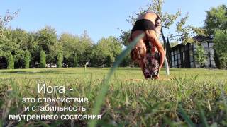 Йога