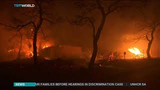 Deadly fires rage in Greece's Attica region