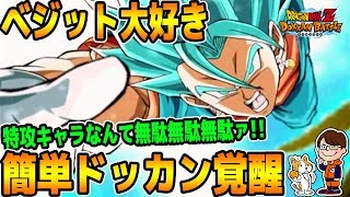 ドッカンバトル【極#206】5周年LRベジットをドッカン覚醒させたい！【ドラゴンボールZドッカンバトル】【ソニオTV】