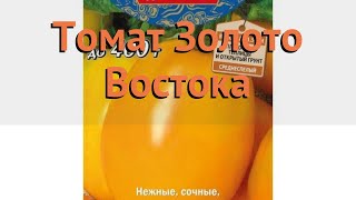 Томат обыкновенный Золото Востока (zoloto vostoka) ? обзор: как сажать, семена томата Золото Востока
