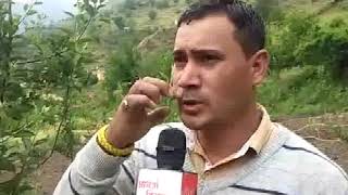 "किसान मेरे गांव का" कार्यक्रम में मिलिए चिड़गांव के प्रगतिशील बागवानों से