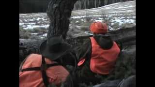 2010 Colorado Elk Hunt