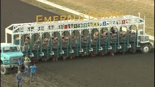 Viral T-Rex race