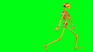 skeleton
