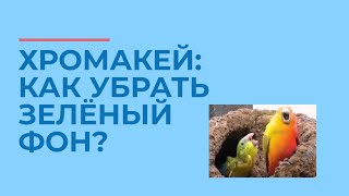 Как убрать зеленый фон (хромакей)? ❎| MOVAVI ЗНАЕТ