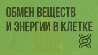 Обмен веществ и энергии в клетке. Видеоурок по биологии 9 класс