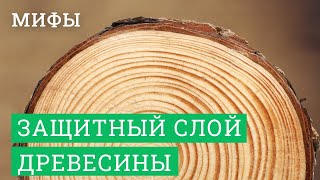 ЛАФЕТОФФ: Сказки про защитный слой древесины в деревянном домостроении