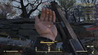 Fallout 76 Experience