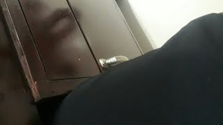cantik cantik kok doyan ngocok