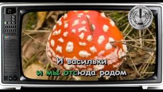 Караоке на песню На дальней станции сойду ВИА Пламя